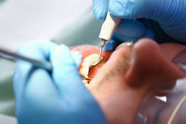 Best Walk-In Emergency Dental Services in Punxsutawney, PA